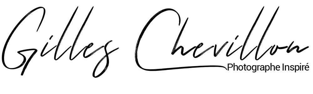 Logo Chevillon.com